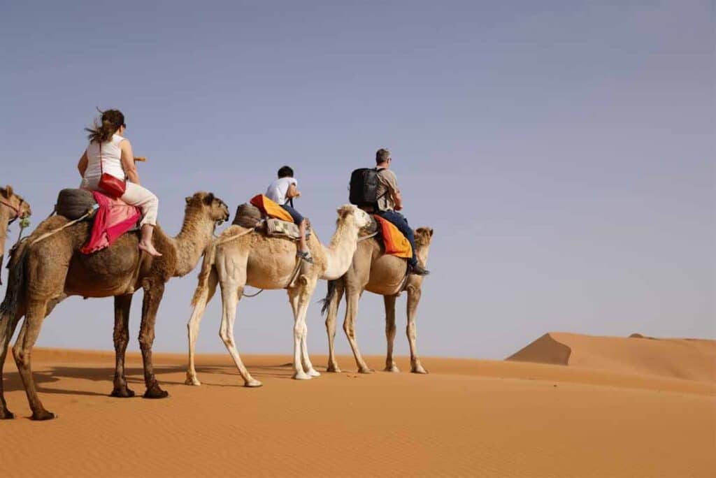 Golden Triangle Tour with Rajasthan Desert Safari (Jaisalmer Extension)