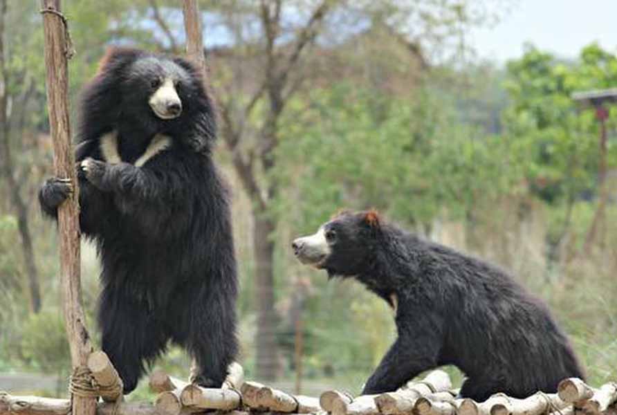 SOS Wildlife Sanctuary Tour From Agra