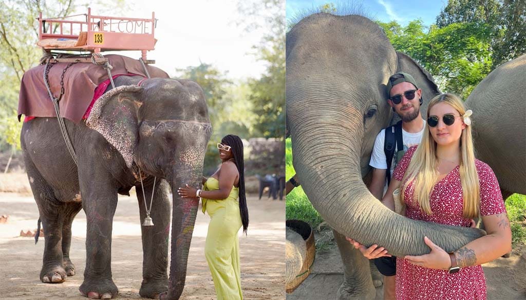 SOS Wildlife Sanctuary Tour From Agra
